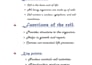 create clear and well organized study notes for any subject